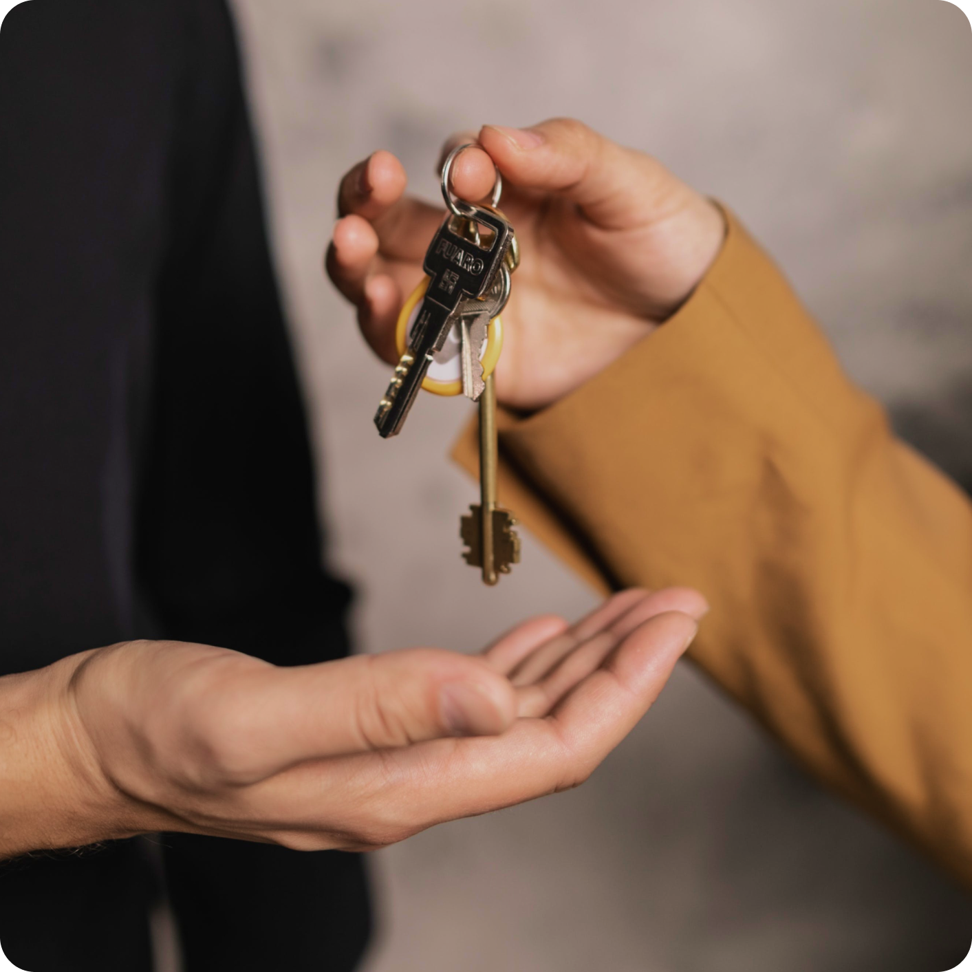 Register A Limited Company As A Landlord ANNA 1 Company Registration